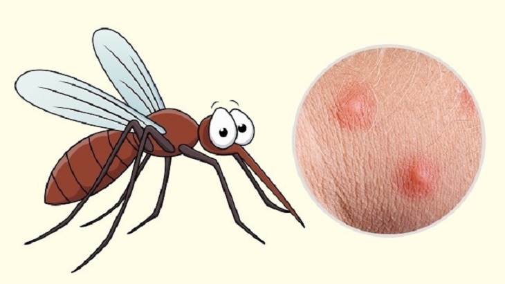 Tại sao chỉ muỗi cái hút máu còn muỗi đực thì không?